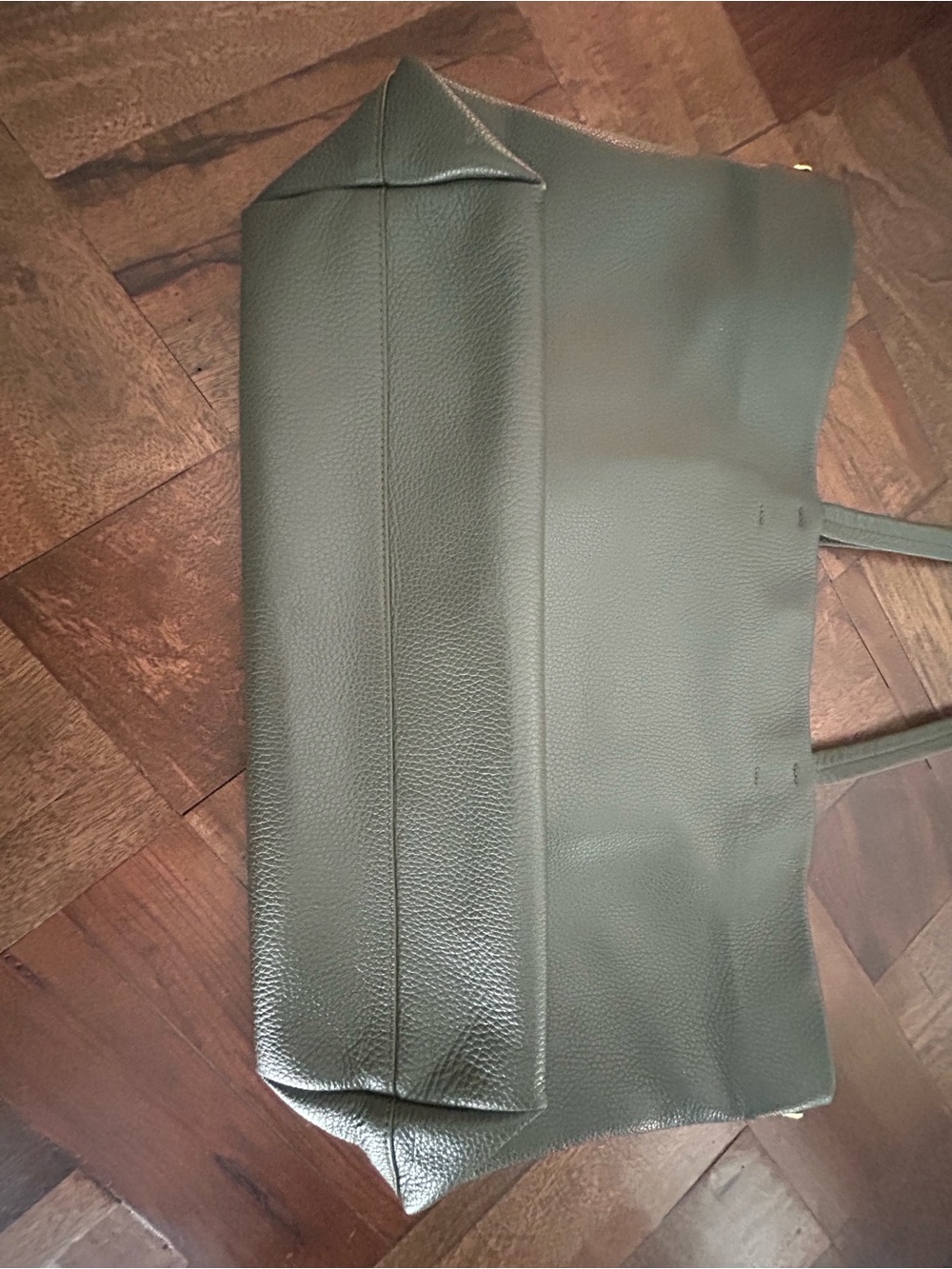 Cuyana Classic Easy Zipper Tote in Dark Olive - Picture 7 of 15